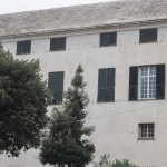 IMM_0310