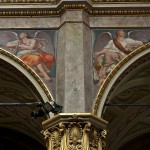 STF_20150618_0186-1