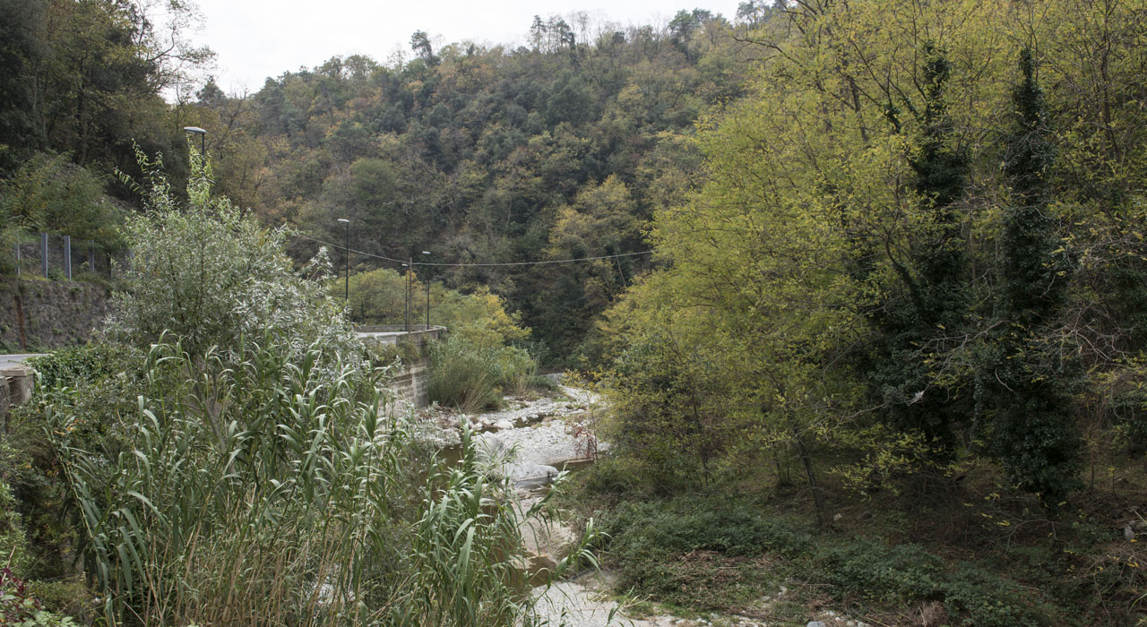 IMM_0254 IMM_0254