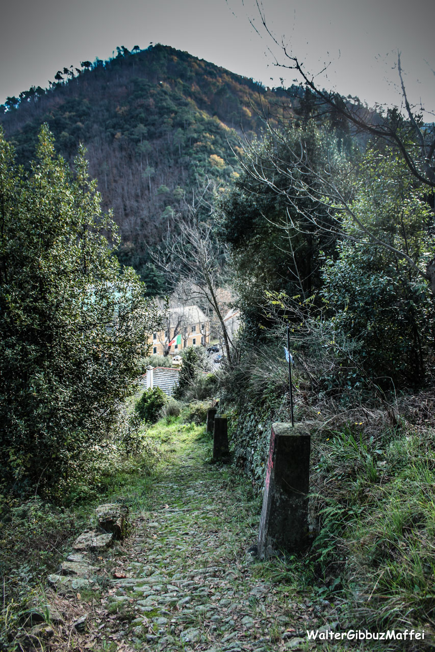 via Crucis via Crucis