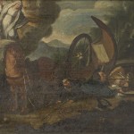 IMM_1376